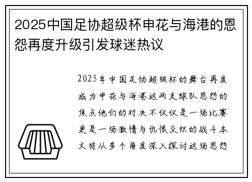 2025中国足协超级杯申花与海港的恩怨再度升级引发球迷热议